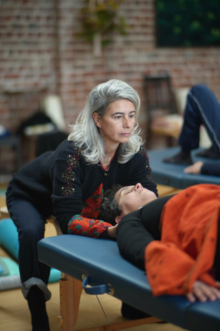 Year 4 - From Student in Training to Student in Life